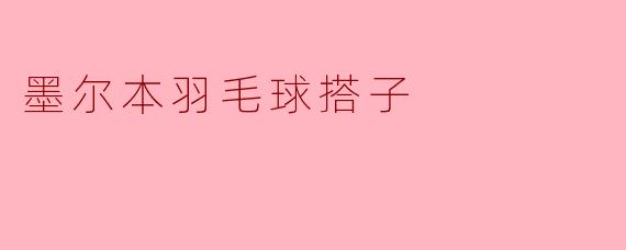 墨尔本羽毛球搭子