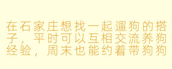 在石家庄想找一起遛狗的搭子，平时可以互相交流养狗经验，周末也能约着带狗狗去公园玩，有什么好的寻找途径或建议吗？