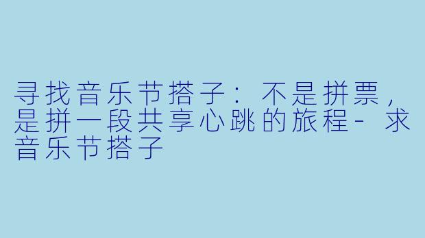 寻找音乐节搭子：不是拼票，是拼一段共享心跳的旅程-求音乐节搭子
