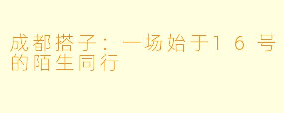 成都搭子：一场始于16号的陌生同行