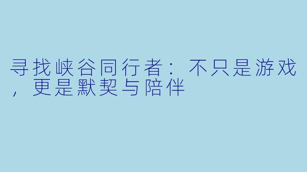 寻找峡谷同行者：不只是游戏，更是默契与陪伴