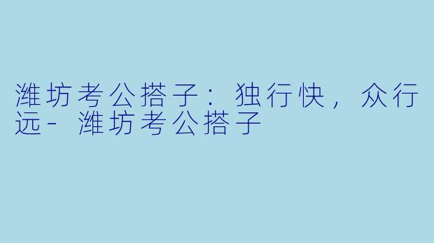 潍坊考公搭子：独行快，众行远-潍坊考公搭子