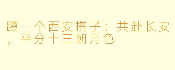 蹲一个西安搭子：共赴长安，平分十三朝月色