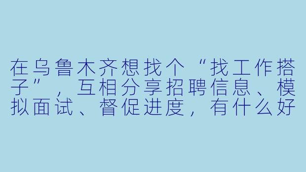 在乌鲁木齐想找个“找工作搭子”，互相分享招聘信息、模拟面试、督促进度，有什么好的建议或平台推荐吗？
