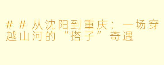 ##从沈阳到重庆:一场穿越山河的“搭子”奇遇