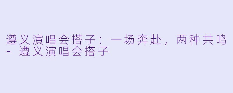 遵义演唱会搭子：一场奔赴，两种共鸣-遵义演唱会搭子