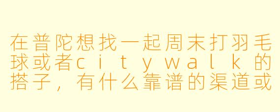 在普陀想找一起周末打羽毛球或者citywalk的搭子，有什么靠谱的渠道或建议吗？