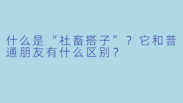 什么是“社畜搭子”？它和普通朋友有什么区别？