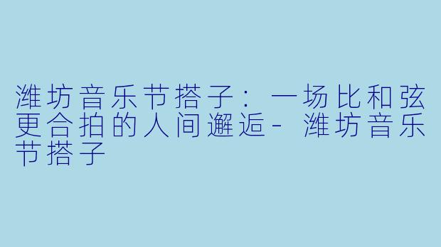 潍坊音乐节搭子：一场比和弦更合拍的人间邂逅-潍坊音乐节搭子