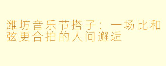 潍坊音乐节搭子：一场比和弦更合拍的人间邂逅