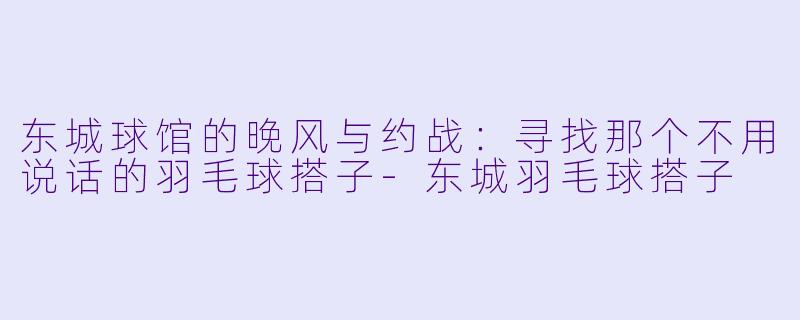东城球馆的晚风与约战:寻找那个不用说话的羽毛球搭子-东城羽毛球搭子