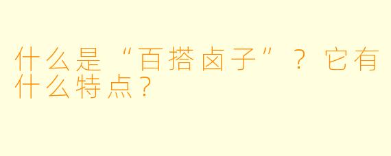 什么是“百搭卤子”？它有什么特点？