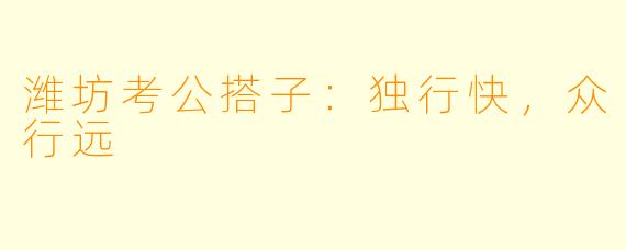 潍坊考公搭子：独行快，众行远