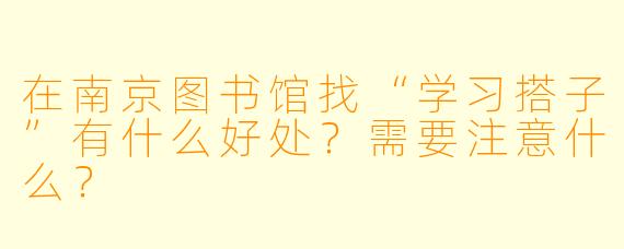在南京图书馆找“学习搭子”有什么好处？需要注意什么？