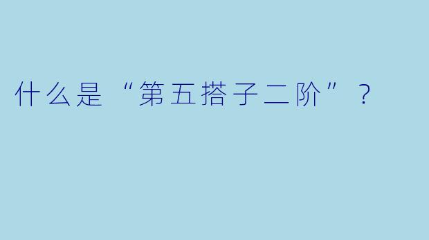 什么是“第五搭子二阶”？