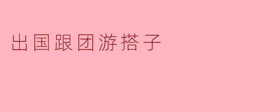 出国跟团游搭子