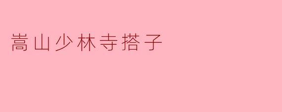 嵩山少林寺搭子