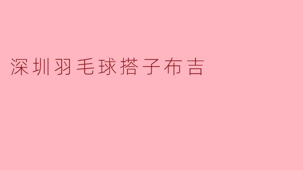 深圳羽毛球搭子布吉