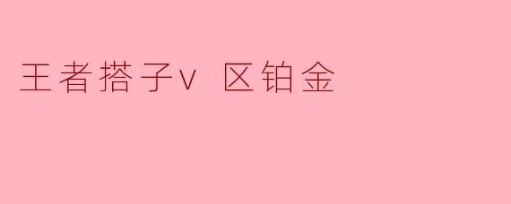 王者搭子v区铂金