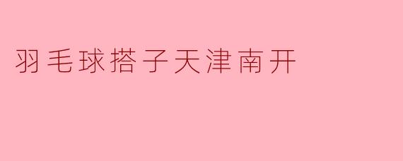 羽毛球搭子天津南开