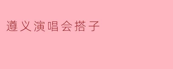 遵义演唱会搭子：一场奔赴，两种共鸣