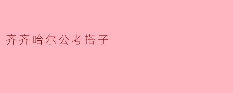 齐齐哈尔公考搭子