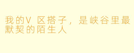 我的V区搭子,是峡谷里最默契的陌生人