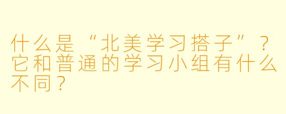 什么是“北美学习搭子”？它和普通的学习小组有什么不同？