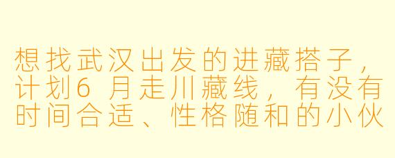 想找武汉出发的进藏搭子，计划6月走川藏线，有没有时间合适、性格随和的小伙伴一起拼车/自驾？希望路上能互相照应，分摊费用，边走边玩，不赶路。