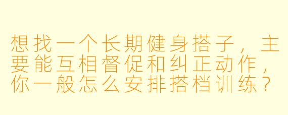 想找一个长期健身搭子，主要能互相督促和纠正动作，你一般怎么安排搭档训练？
