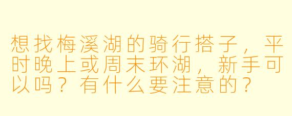 想找梅溪湖的骑行搭子，平时晚上或周末环湖，新手可以吗？有什么要注意的？