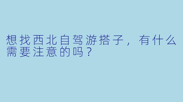 想找西北自驾游搭子，有什么需要注意的吗？