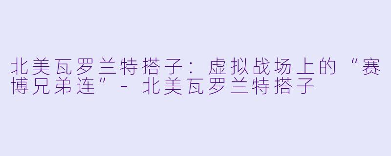 北美瓦罗兰特搭子：虚拟战场上的“赛博兄弟连”-北美瓦罗兰特搭子