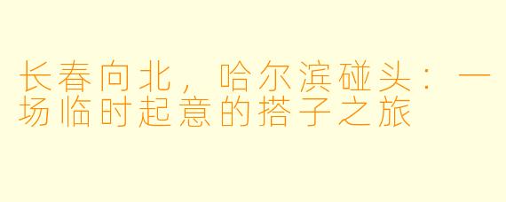 长春向北，哈尔滨碰头：一场临时起意的搭子之旅