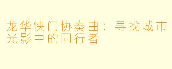龙华快门协奏曲：寻找城市光影中的同行者