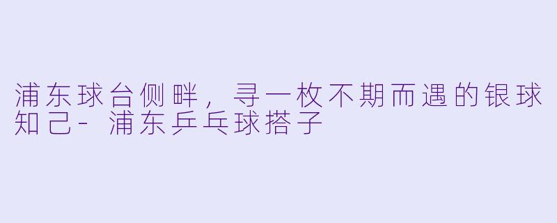 浦东球台侧畔,寻一枚不期而遇的银球知己-浦东乒乓球搭子