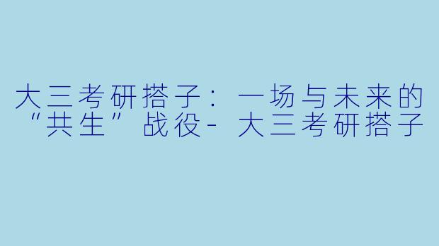 大三考研搭子:一场与未来的“共生”战役-大三考研搭子