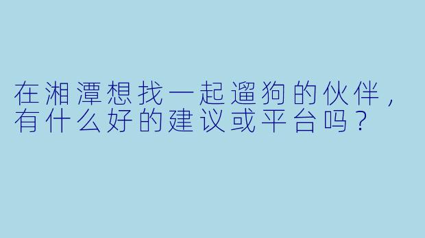 在湘潭想找一起遛狗的伙伴，有什么好的建议或平台吗？