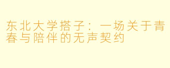 东北大学搭子：一场关于青春与陪伴的无声契约