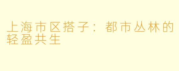 上海市区搭子：都市丛林的轻盈共生