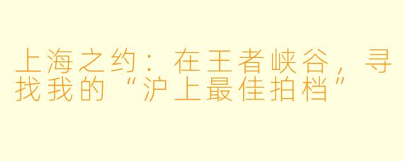 上海之约：在王者峡谷，寻找我的“沪上最佳拍档”