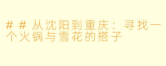 ##从沈阳到重庆：寻找一个火锅与雪花的搭子