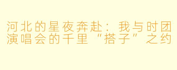 河北的星夜奔赴:我与时团演唱会的千里“搭子”之约