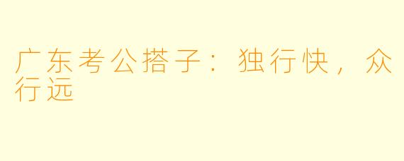 广东考公搭子：独行快，众行远
