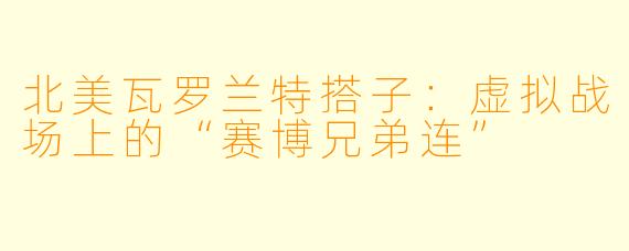北美瓦罗兰特搭子：虚拟战场上的“赛博兄弟连”