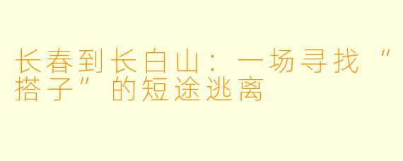 长春到长白山：一场寻找“搭子”的短途逃离