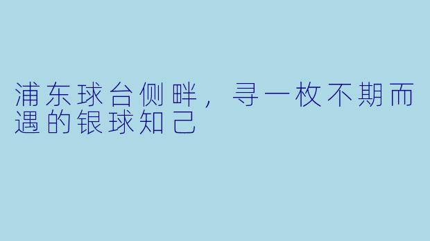 浦东球台侧畔,寻一枚不期而遇的银球知己