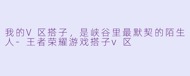 我的V区搭子,是峡谷里最默契的陌生人-王者荣耀游戏搭子v区