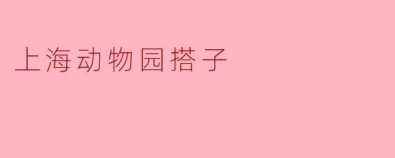 上海动物园搭子