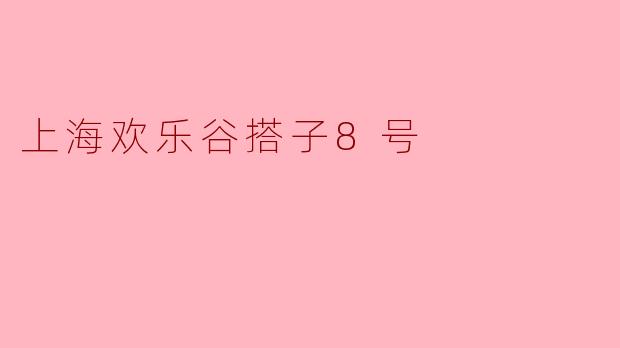 上海欢乐谷搭子8号
